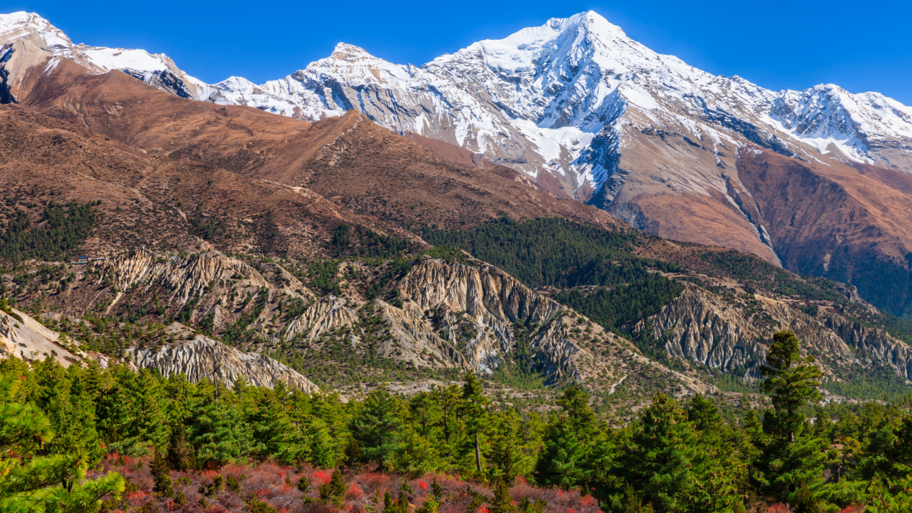 Annapurna three peaks expedition